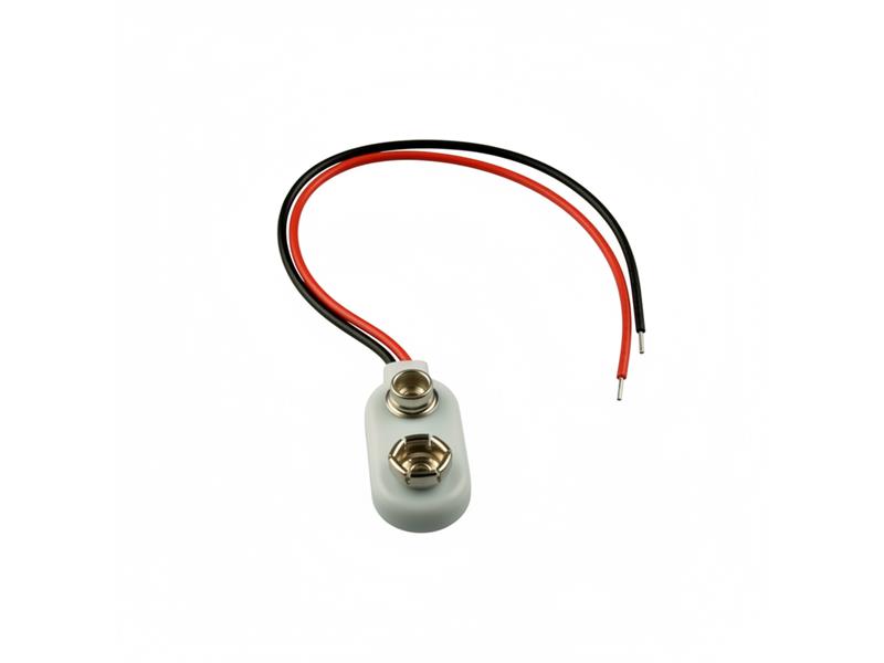 MEMORY PROTECTION DEVICES BS6I