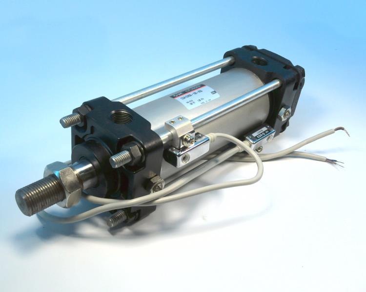 SMC CDA1DN50-100-A53
