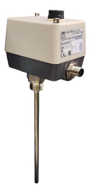 JUMO 603021/70-60/00523342