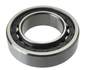 SCHAEFFLER GROUP NJ2218-E-TVP2-C3