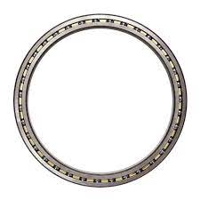 KAYDON BEARING 15973001