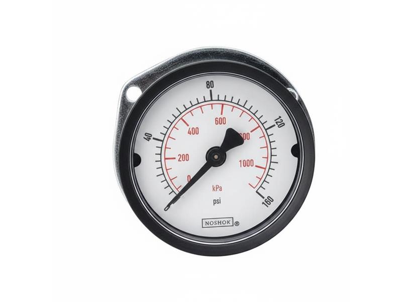 15-110-200-PSI/KPA-BLFF par NOSHOK