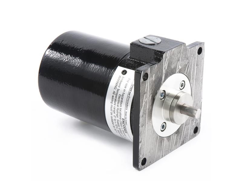DYNAPAR X250010020