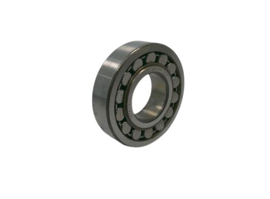 SKF N 206 ECP