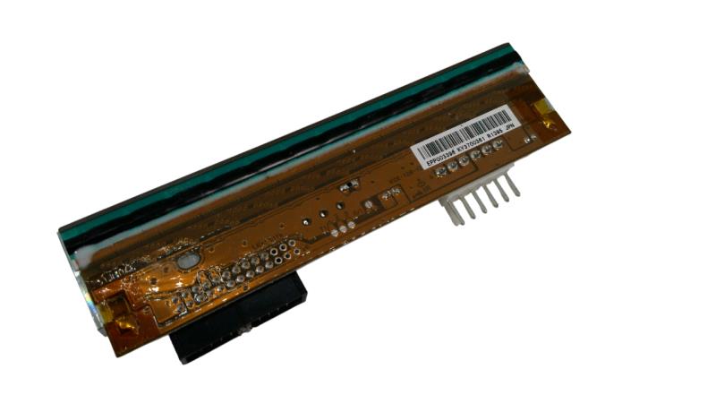 DOMINO EPP003396