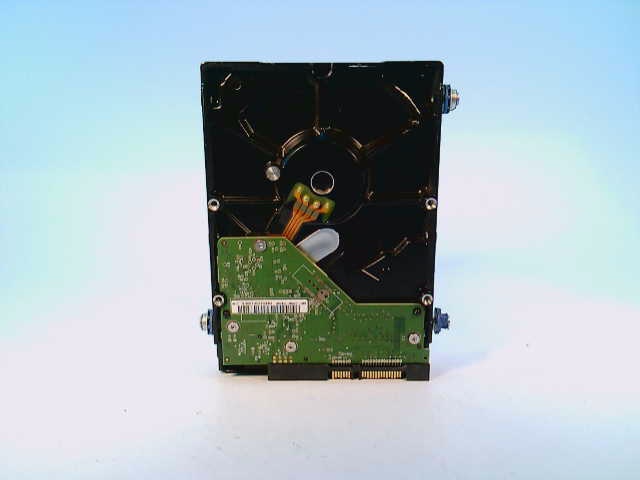 WESTERN DIGITAL WD3200AAKS-75L9A0