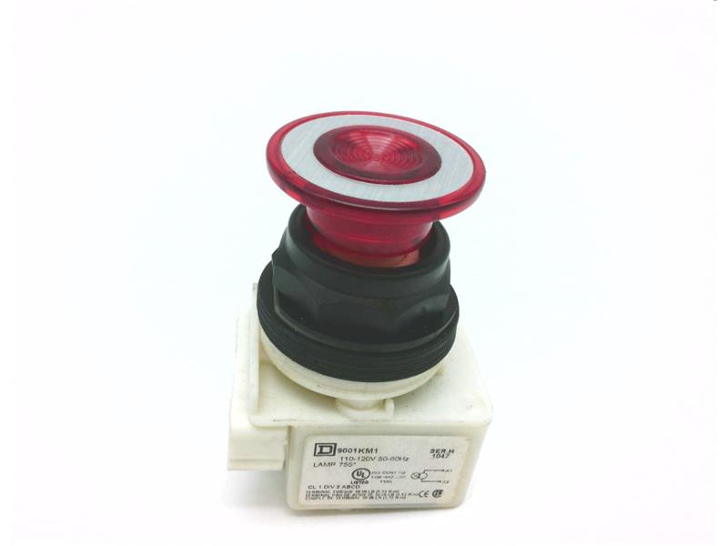 SCHNEIDER ELECTRIC 9001-SKR9P1R