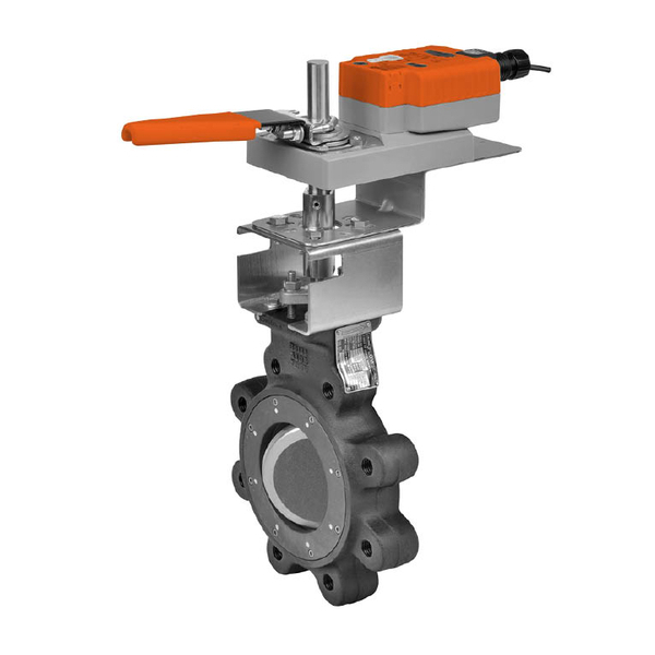 BELIMO F6100-300SHP+GMX24-MFT-X1