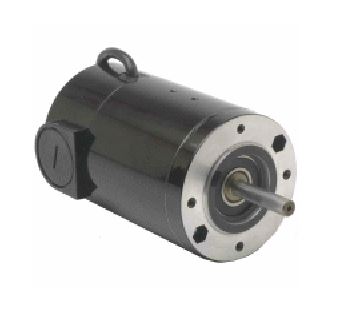 BODINE ELECTRIC 6022