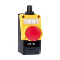 SCHMERSAL BDF100-NH-G-ST
