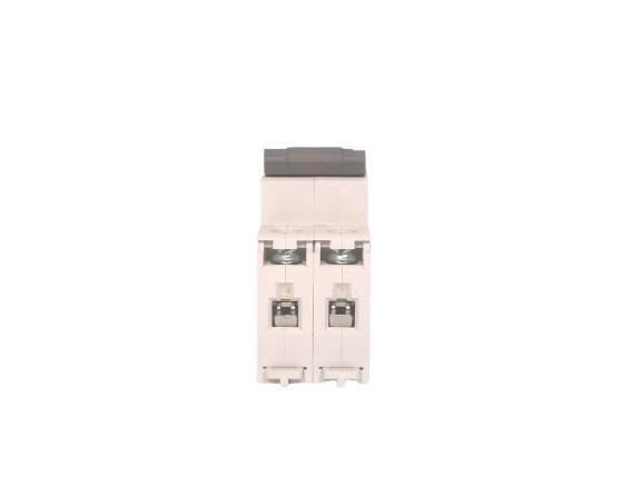 LS ELECTRIC BK63H-2P-C63A-480