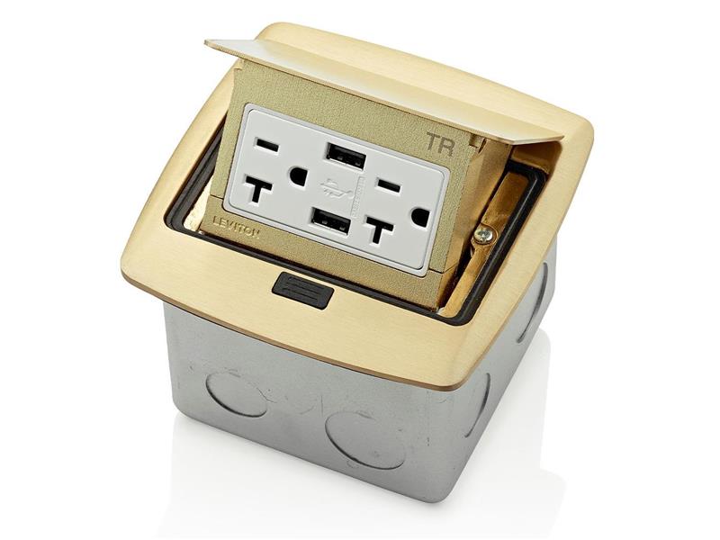 LEVITON PFUS2-BR
