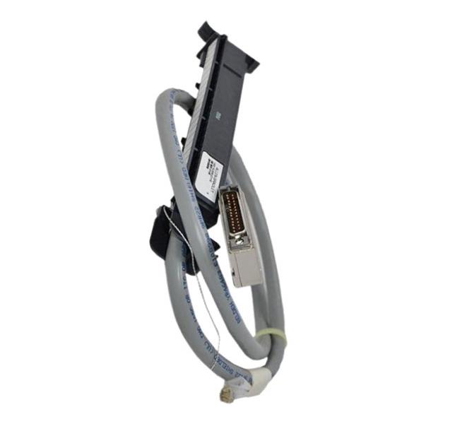 ALLEN BRADLEY 1492-ACABLE010E