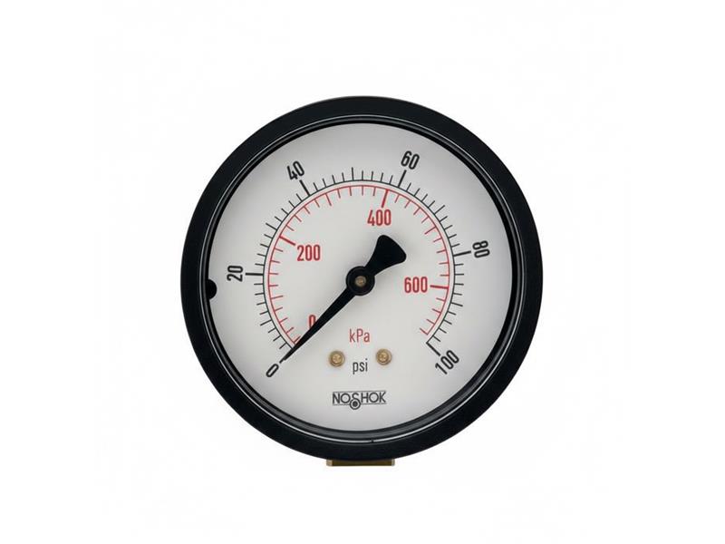 25-110-30-PSI/KG/CM2-BLFF-BP3 por NOSHOK