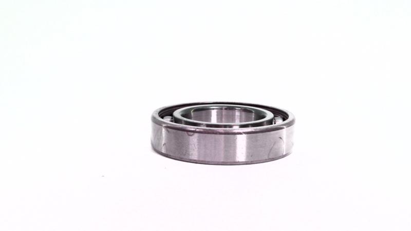 SCHAEFFLER GROUP 6007