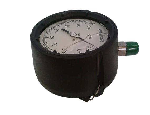 REOTEMP PT45P1A2P19-G-S-TS