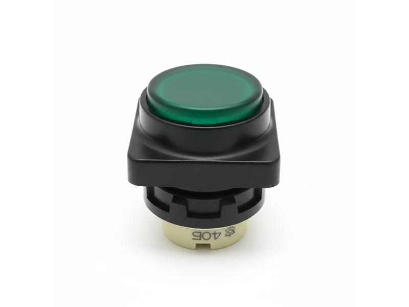 D1Y-10 by SCHNEIDER ELECTRIC