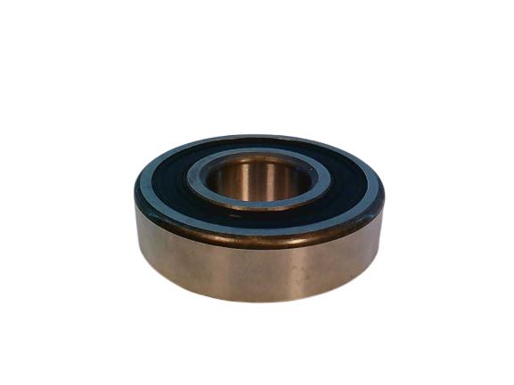 SKF 305SZZ