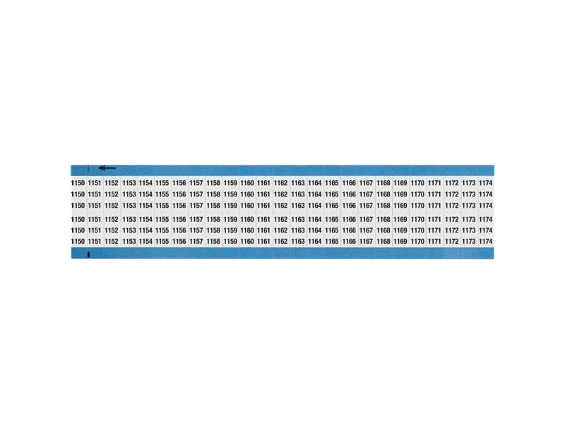 WM-1150-1174-SC-PK by BRADY