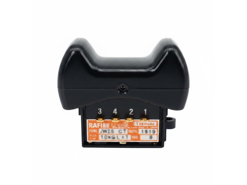 1.30.248.001/0700 por RAFI