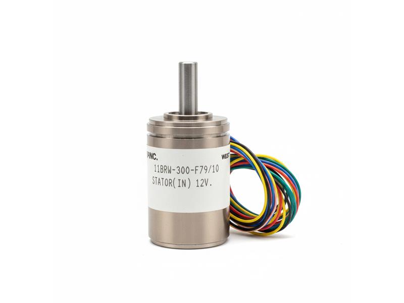 11BRW-300-F79/10 by DYNAPAR