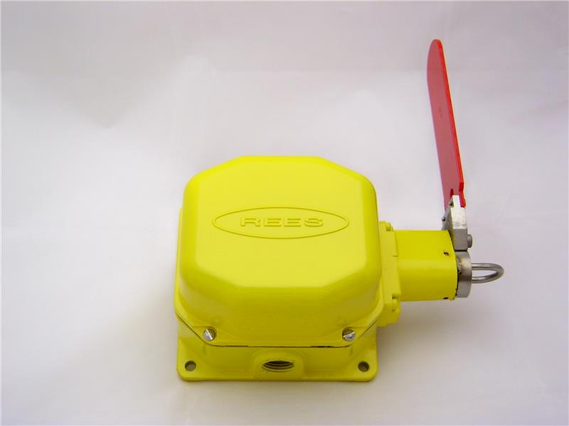 REES 04953112