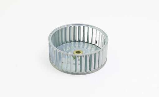 LAU FANS 02895743