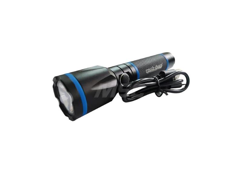 B81 par PRO SAFE INC