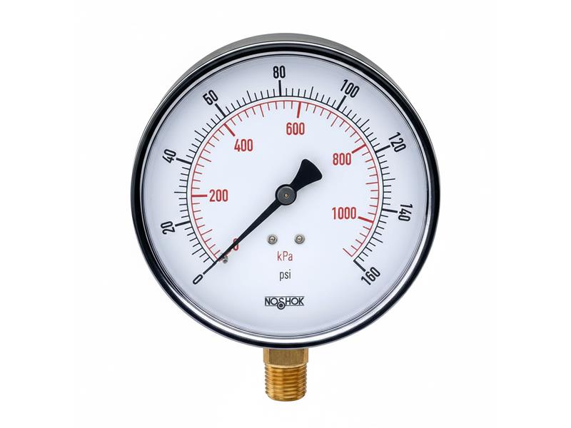 20-100-100-PSI/KPA-O2 par NOSHOK