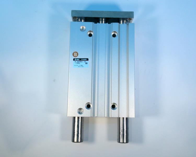 SMC 20-MGPM32-125-Y7BWL