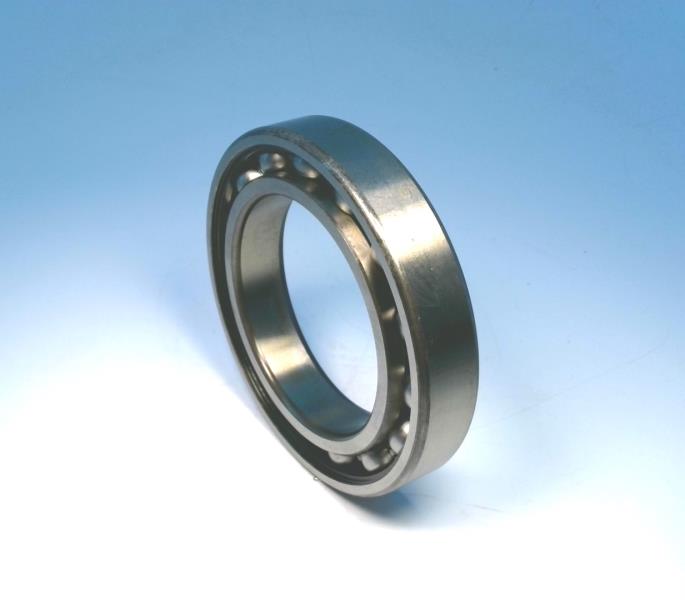SKF 6013-JEM
