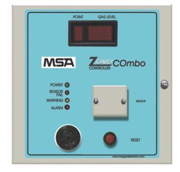 MSA 10063787