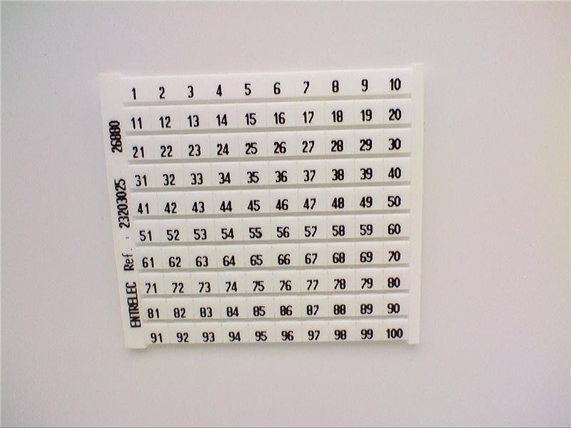 PL-1-100 por EEC AEG