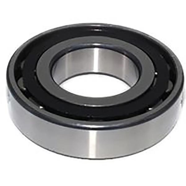 SCHAEFFLER GROUP N207-E-XL-TVP2