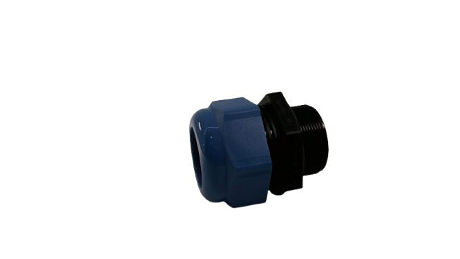 CORTEM GROUP UNII4XI