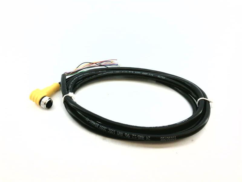 TURCK WKC 12T-2/S618