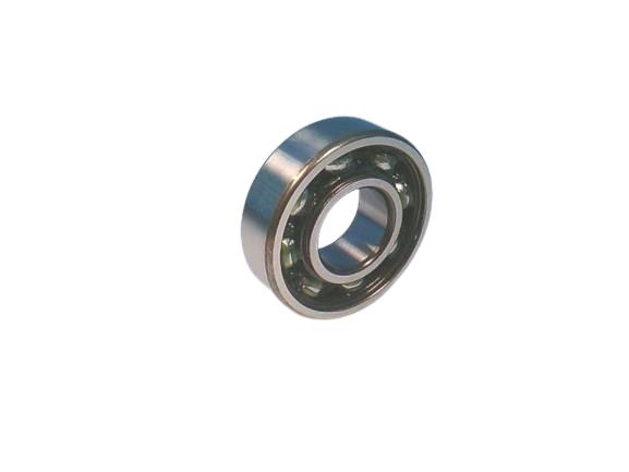 NSK 6204V