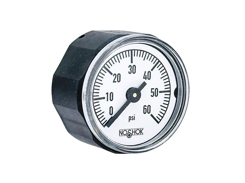 10-110-60-PSI por NOSHOK