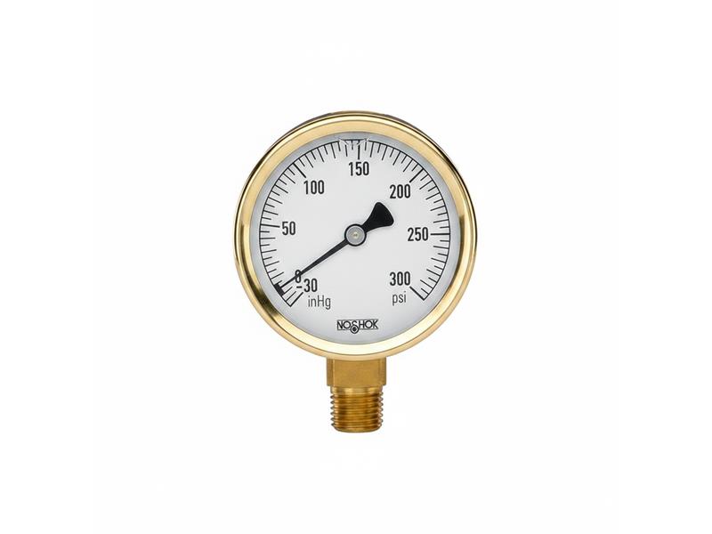 25-300-30/300-PSI/BAR-CFF-MIP par NOSHOK