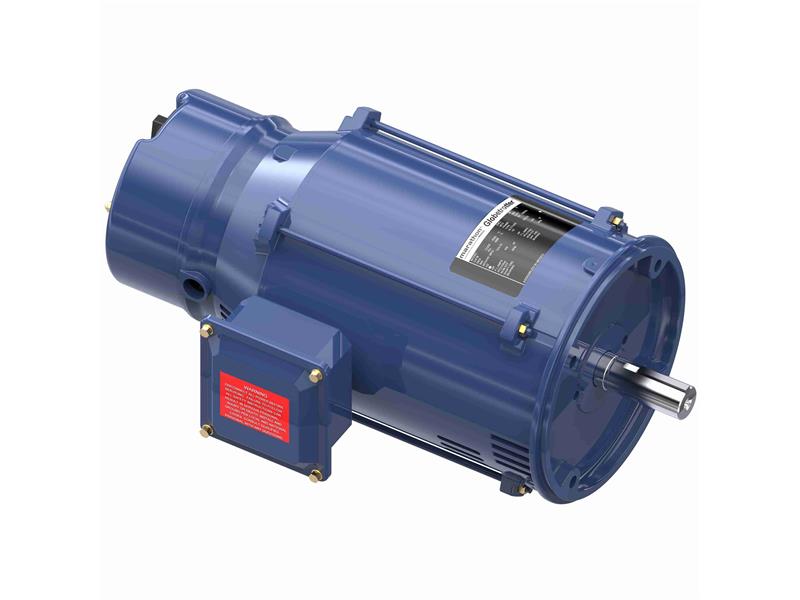 REGAL REXNORD 184TTDBD6040