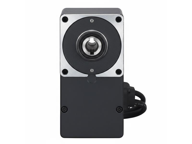 BLFM230-A by ORIENTAL MOTOR