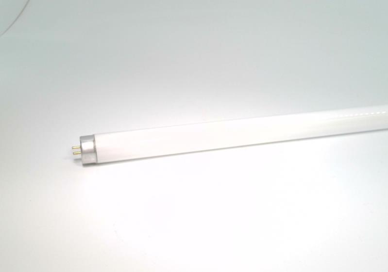 DAMAR F18T8CW/24 INCH