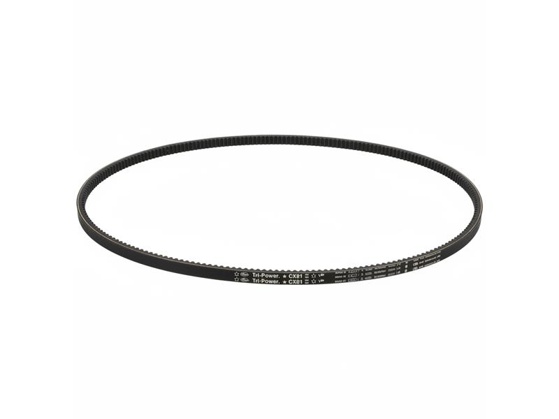 CX81 by CONTINENTAL AG