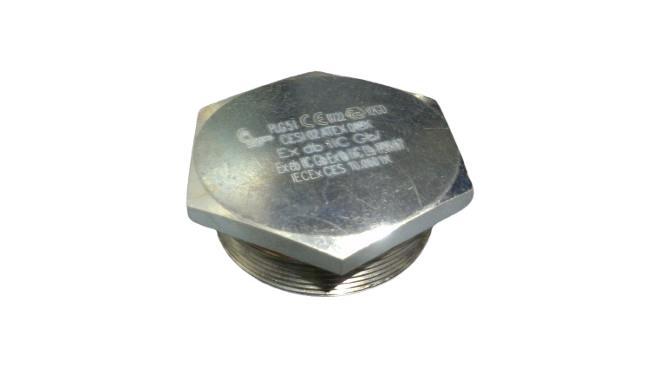 CORTEM GROUP PLG5IS