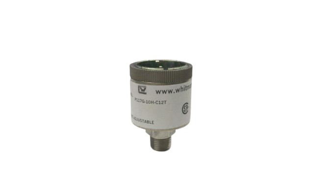 WHITMAN CONTROLS P117G-10H-C12T