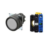 OMRON A22NL-BNM-TWA-G100-WC