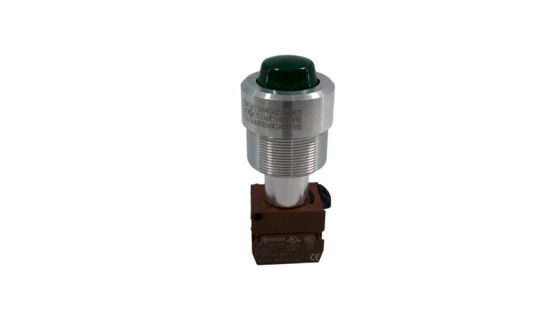CORTEM GROUP M-0428/V