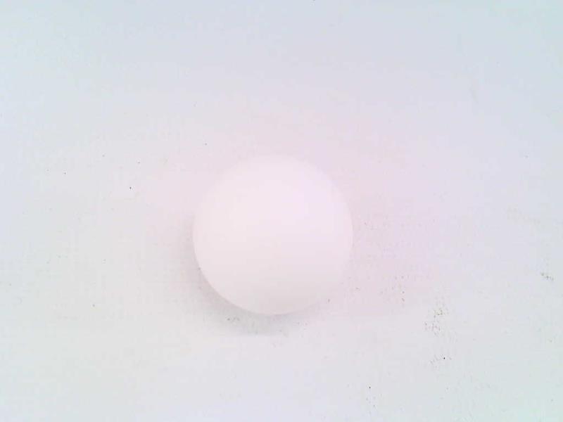 WILDEN 02-1080-55-EACH