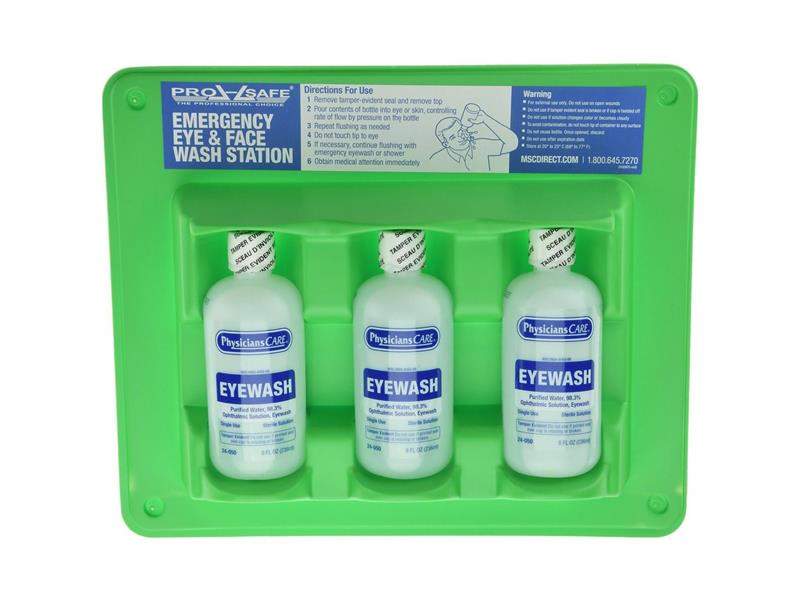 PRO SAFE INC 24-308MSC