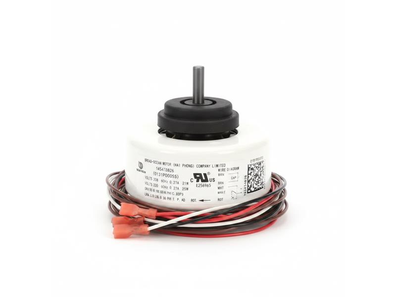 GOODMAN 0131P00055SP